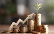 Bottom Fishing: A Guide to Investing in Undervalued Assets